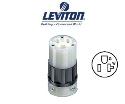 Picture of Leviton 5369-C NEMA 5-20R 20 AMP Straight Blade Power Connector